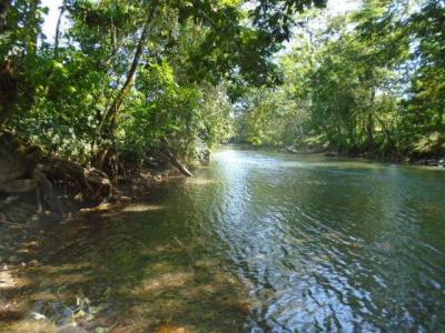 San Pedro Columbia, Toledo 00001, Belize