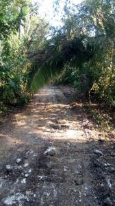 Lucky Strike, Belize District 00001, Belize