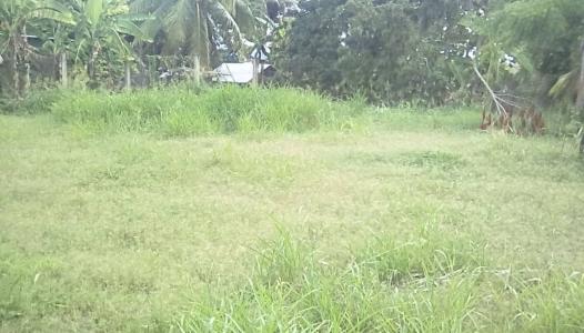 Progresso, Corozal 00001, Belice