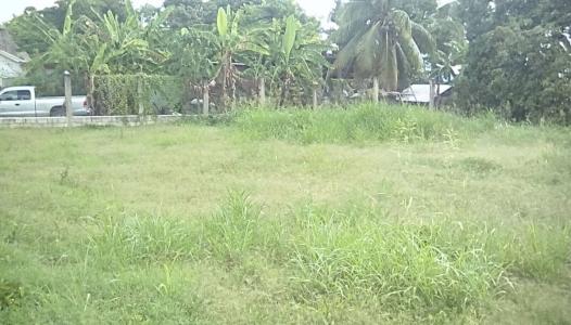 Progresso, Corozal 00001, Belice