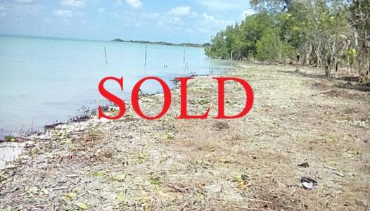 Sarteneja Village, Corozal 00001, ベリーズ