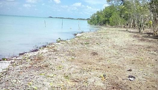 Sarteneja Village, Corozal 00001, Bélize