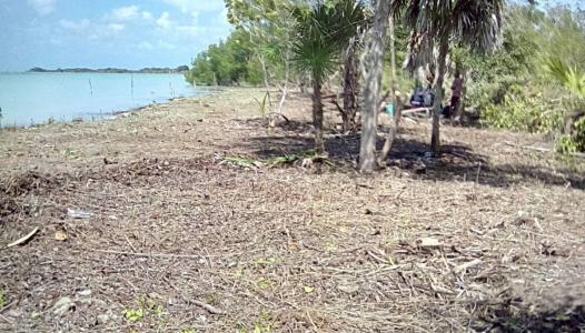 Sarteneja Village, Corozal 00001, Bélize