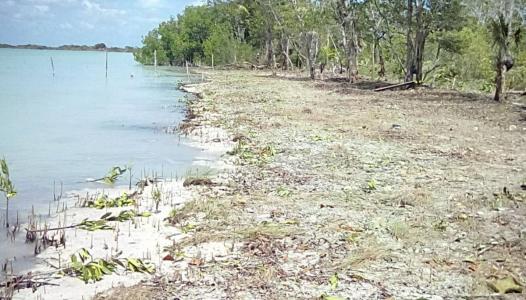 Sarteneja Village, Corozal 00001, Bélize