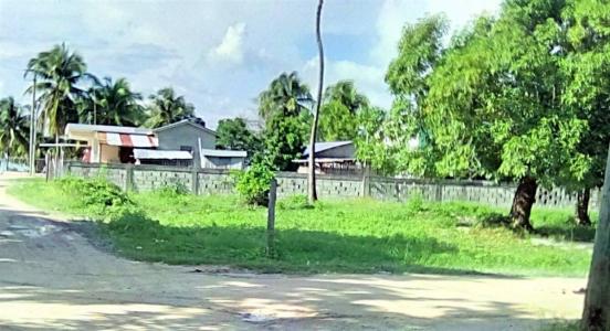 Sarteneja Village, Corozal 00001, Belize