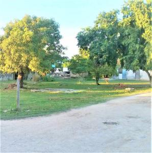 Sarteneja Village, Corozal 00001, Belize