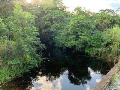 Rancho Dolores, Belize District 00001, Belize