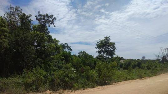 Sarteneja Village, Corozal 00001, Belize