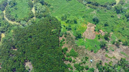 Belize District, Belize District 00001, Bélize