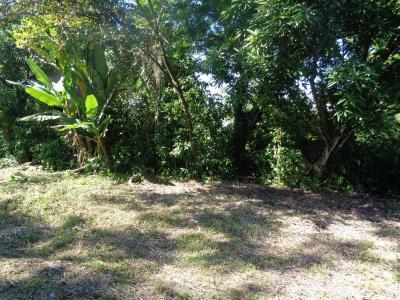 Cattle Landing, Toledo 00001, بيليز 