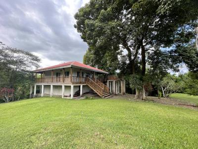 Unitedville, Cayo 00001, Belize