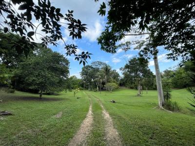 Unitedville, Cayo 00001, بيليز