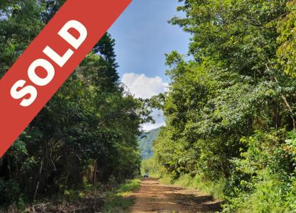 Emeri Grove, Toledo 00001, 伯利兹