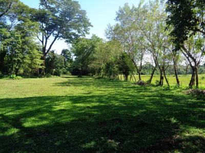 Forest Home, Toledo 00001, Belize