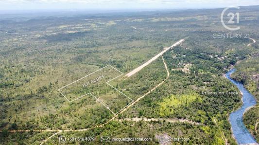 Cayo District, Cayo 00001, ベリーズ