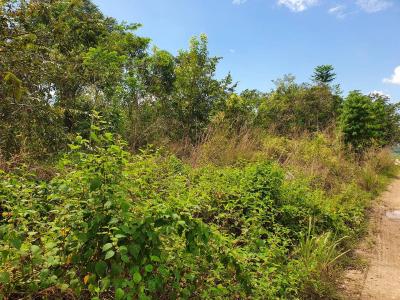 Belmopan, Cayo 00001, Belize