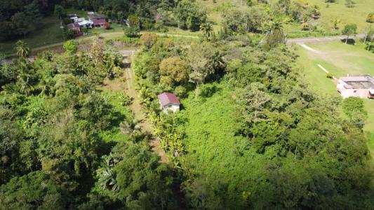 Toledo District, Toledo 00001, Belize