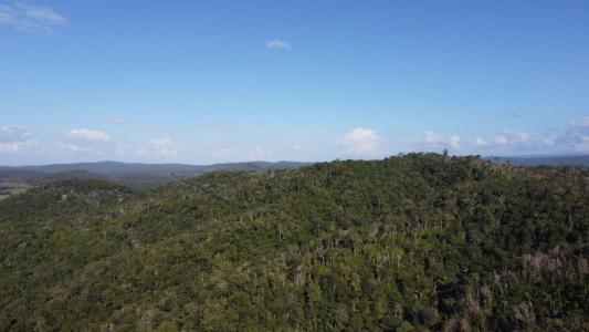 San Jose Succotz, Cayo 00001, Belize