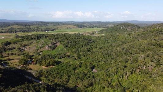 San Jose Succotz, Cayo 00001, Belize