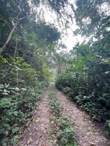 San Ignacio, Cayo 00001, 貝里斯