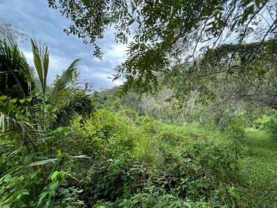 San Ignacio, Cayo 00001, 貝里斯