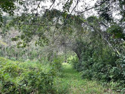 San Ignacio, Cayo 00001, 貝里斯