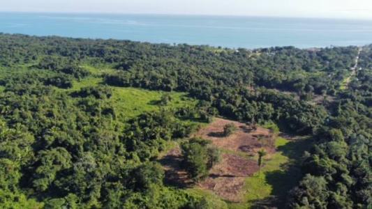 Cattle Landing, Toledo 00001, Belize