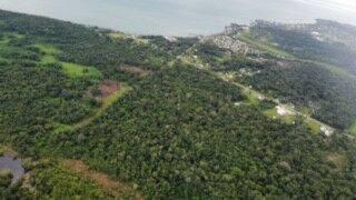 Cattle Landing, Toledo 00001, Belize