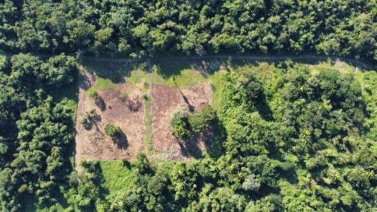 Cattle Landing, Toledo 00001, Belize