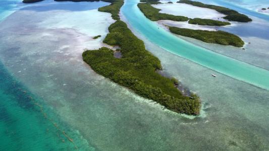 San Pedro Town, Ambergris Caye 00001, Belize