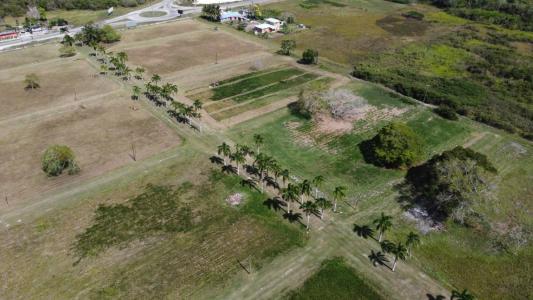 Orange Walk 00001, Belize