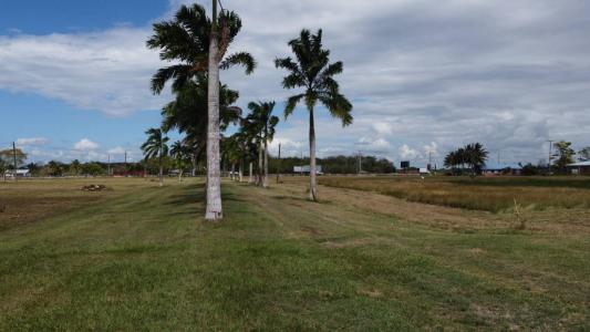Orange Walk 00001, Belize