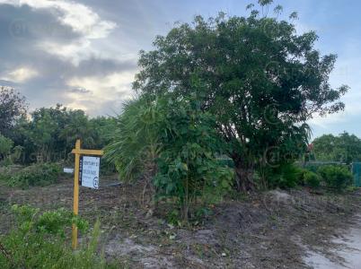 Belize District, Belize District 00001, Bélize