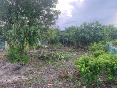 Belize District, Belize District 00001, Bélize