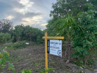 Belize District, Belize District 00001, Bélize