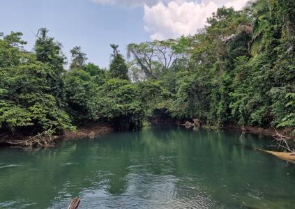Big Falls, Toledo 00001, Belice