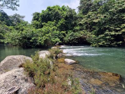 Big Falls, Toledo 00001, Belice