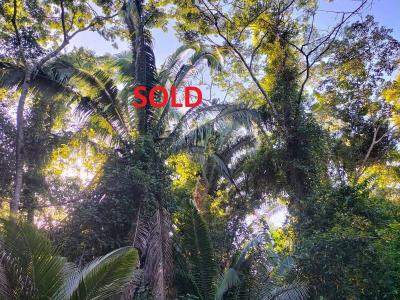 Jacintoville, Toledo 00001, Belize