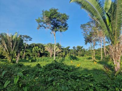 Cattle Landing, Toledo 00001, Belize