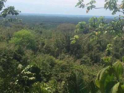 Quepos Aguirre, Puntarenas 00001, Costa Rica