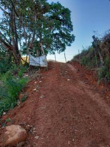 San Luis Turrubáres, San José 00001, Costa Rica