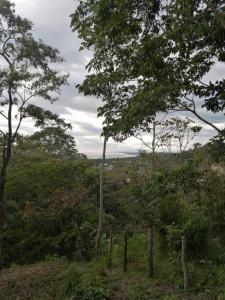 Quepos Aguirre, Puntarenas 60601, קוסטה ריקה