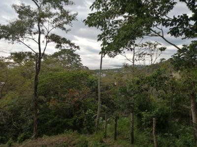 Quepos Aguirre, Puntarenas 60601, קוסטה ריקה