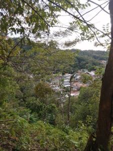 Quepos Aguirre, Puntarenas 60601, קוסטה ריקה