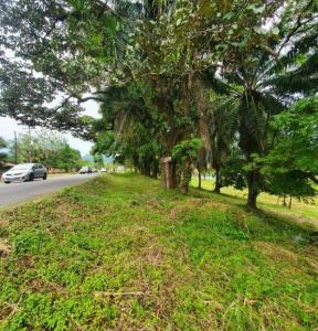 Quepos Aguirre, Puntarenas 60601, Costa Rica