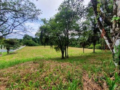 Quepos Aguirre, Puntarenas 60601, קוסטה ריקה