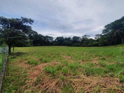 Quepos Aguirre, Puntarenas 60601, קוסטה ריקה