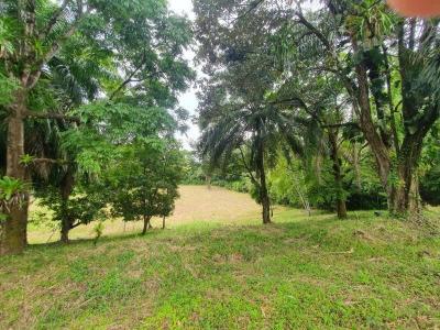 Quepos Aguirre, Puntarenas 60601, קוסטה ריקה