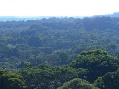 Quepos Aguirre, Puntarenas 60601, Costa Rica