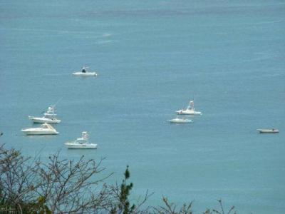 Quepos Aguirre, Puntarenas 00001, Costa Rica